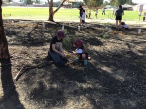 Tree Planting