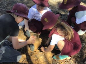 Tree Planting