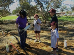 Tree Planting