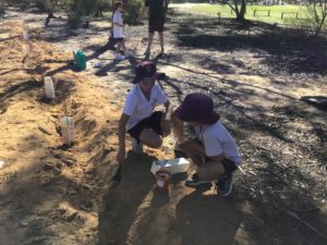 Tree Planting