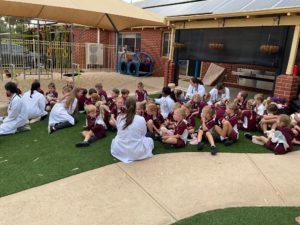 Teddy Bears Hospital Incursion