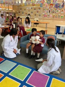 Teddy Bears Hospital Incursion