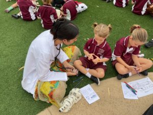 Teddy Bears Hospital Incursion