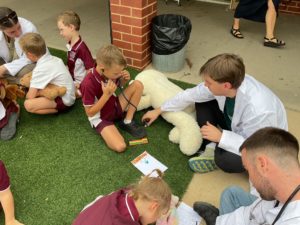 Teddy Bears Hospital Incursion