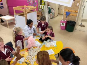 Teddy Bears Hospital Incursion