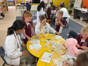 Teddy Bears Hospital Incursion