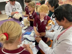 Teddy Bears Hospital Incursion