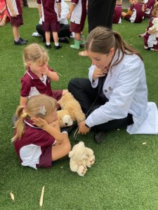 Teddy Bears Hospital Incursion