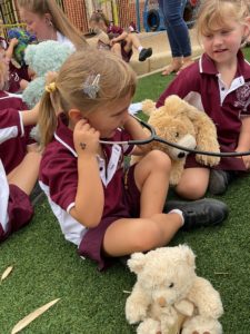 Teddy Bears Hospital Incursion