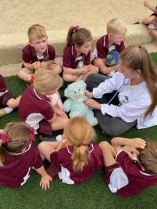 Teddy Bears Hospital Incursion