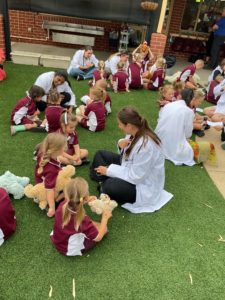 Teddy Bears Hospital Incursion