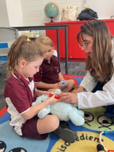 Teddy Bears Hospital Incursion